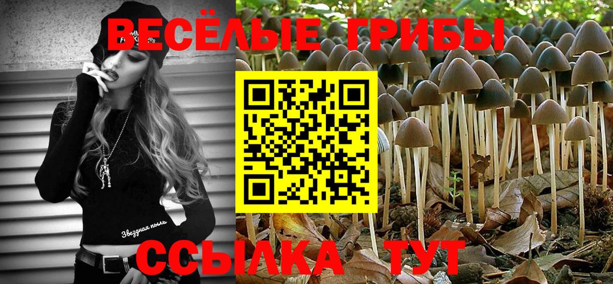Псилоцибиновые грибы мухоморы Новоуральск