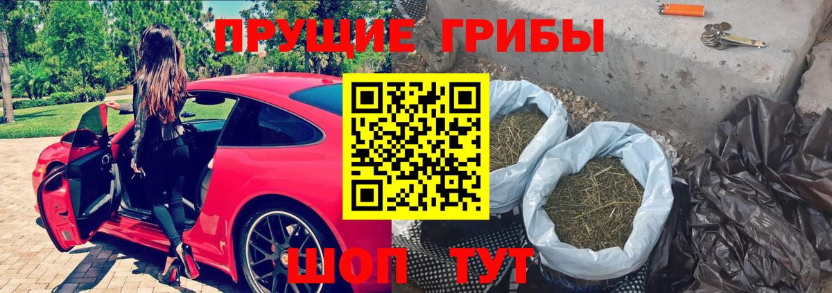 Псилоцибиновые грибы MAGIC MUSHROOMS  Вход с VPN  Галлюциногенные грибы мицелий  Новоуральск 